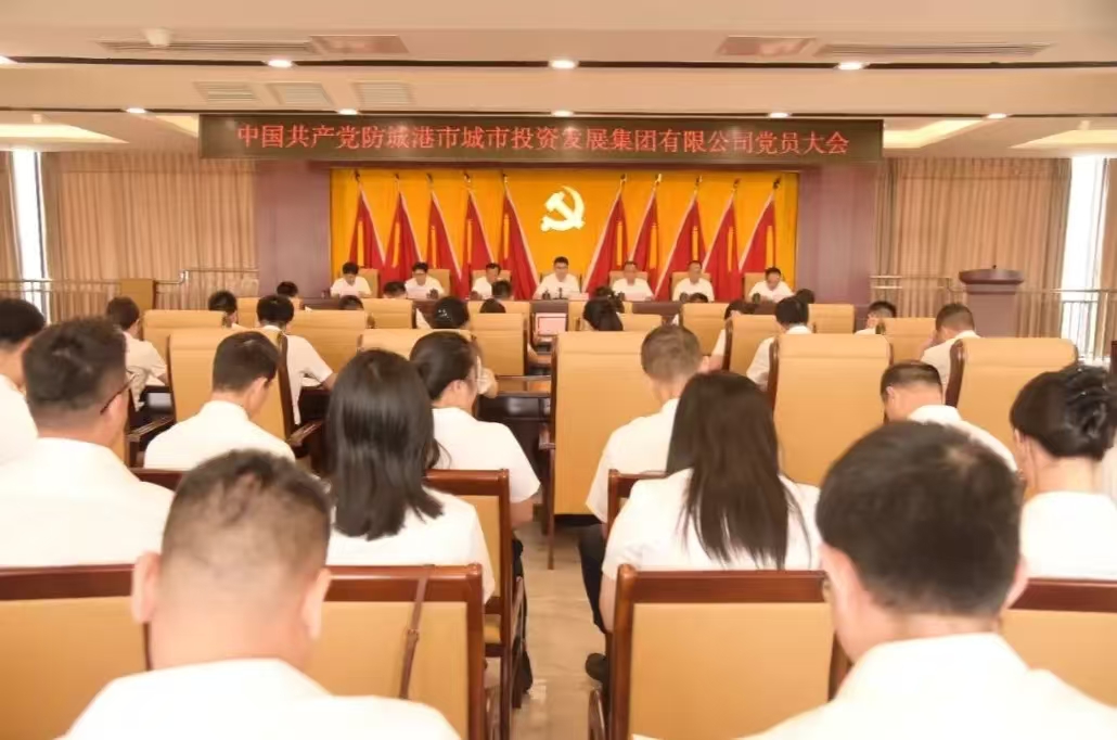 市投資集團(tuán)黨委召開黨員大會(huì)補(bǔ)選黨委委員